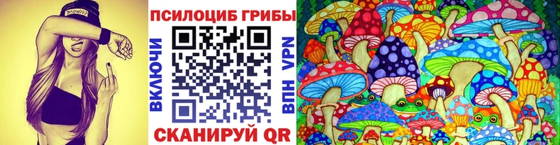 Псилоцибиновые грибы Cubensis  наркошоп  Верещагино 